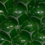 Verde bosco